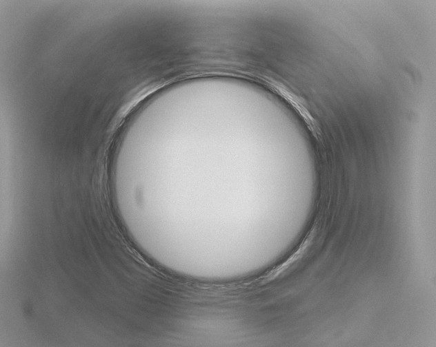 X0000116551453200912100953
