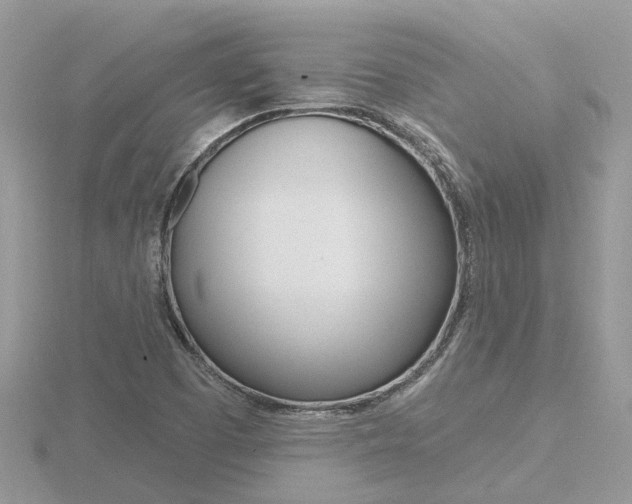 X0000116551457200912100953