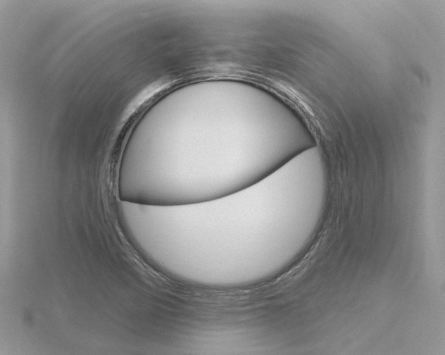 X0000116551458200912100953