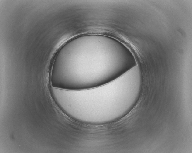 X0000116551459200912100953