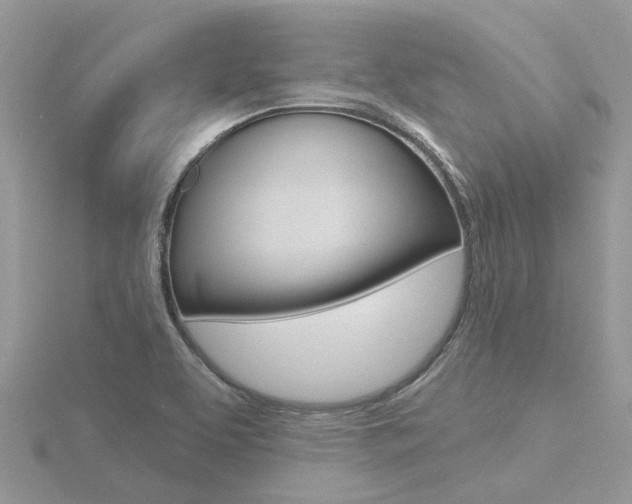 X0000116551463200912100953