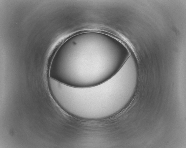 X0000116551464200912100953