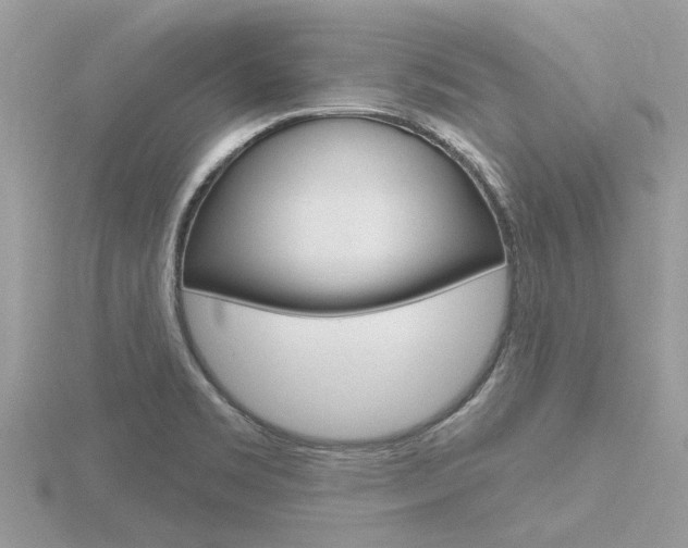 X0000116551469200912100953