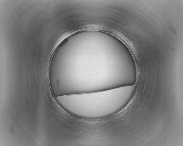 X0000116551473200912100953