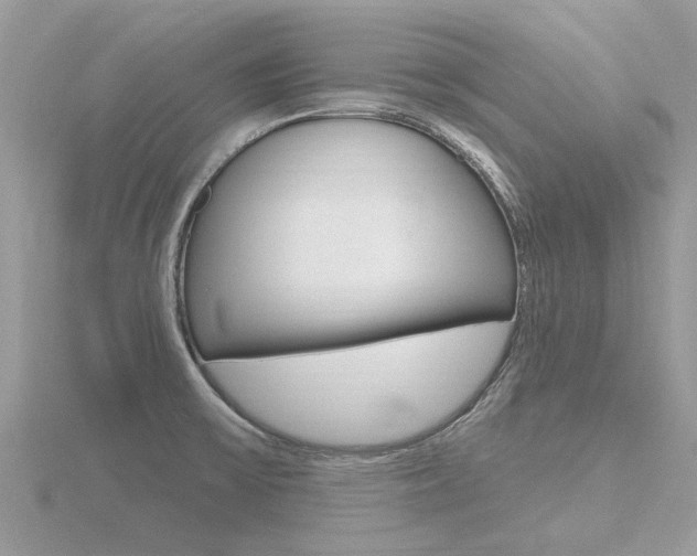 X0000116551475200912100953