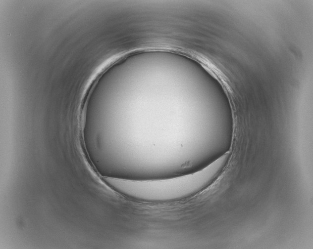 X0000116551477200912100953