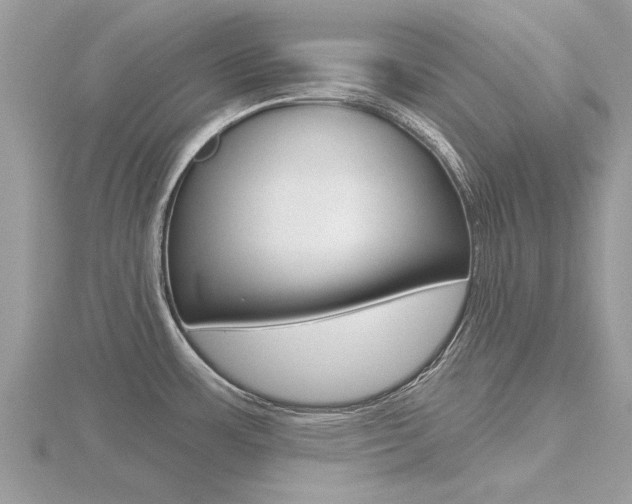 X0000116551483200912100953