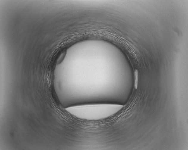 X0000116551491200912100952