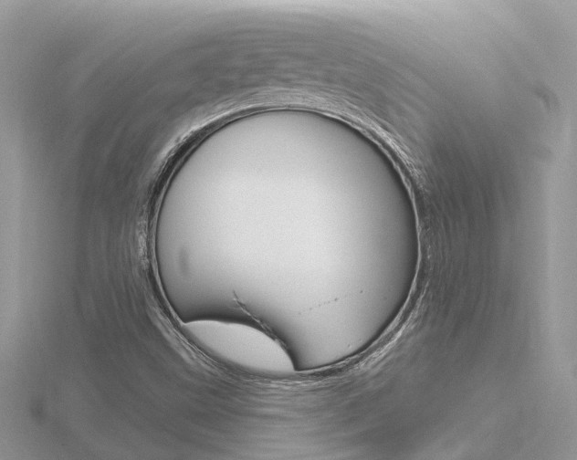 X0000116551499200912100952