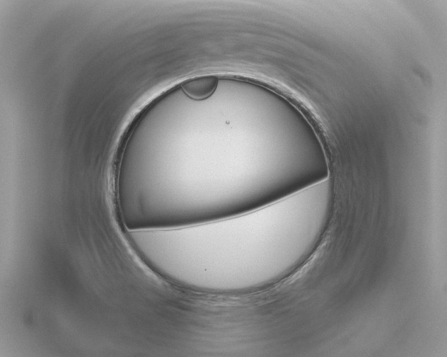 X0000116551517200912100952