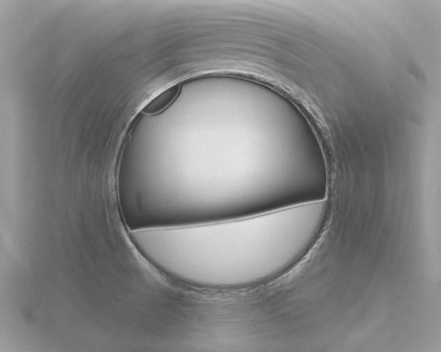 X0000116551521200912100952