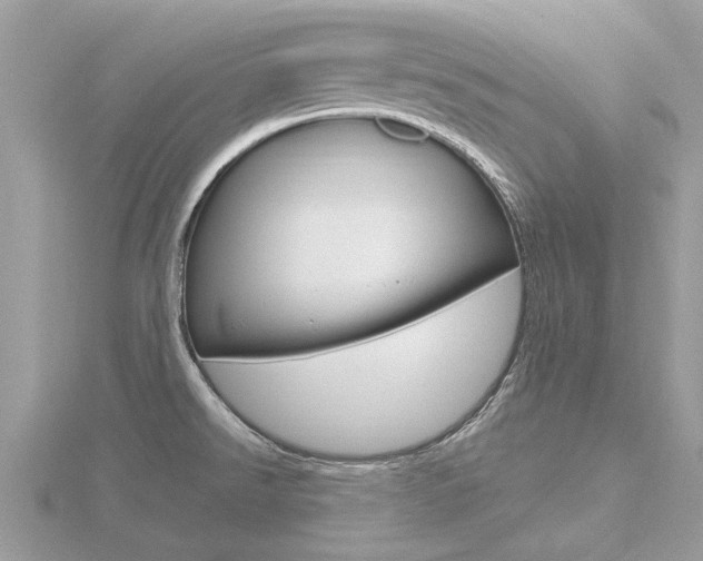 X0000116551526200912100952