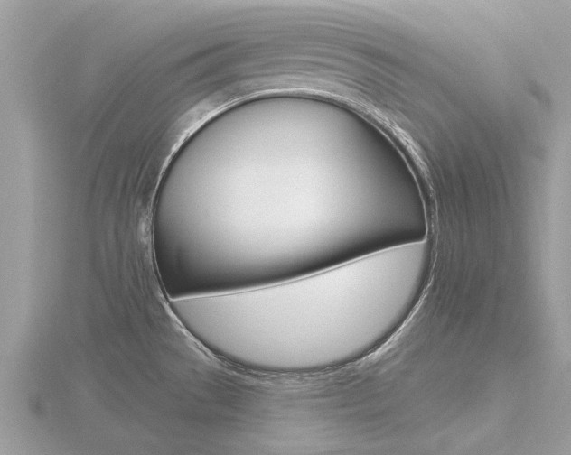 X0000116551529200912100952