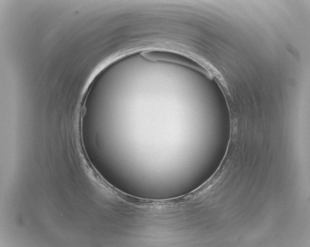 X0000116551530200912100952