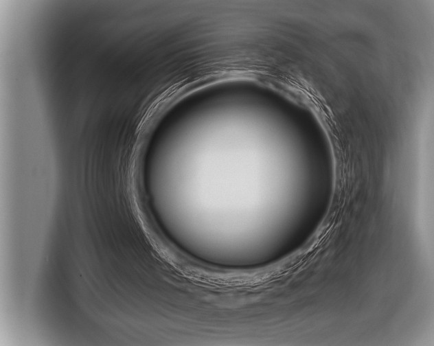 X0000116550001200912101424