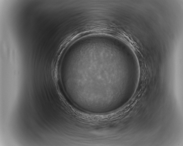 X0000116550002200912101424