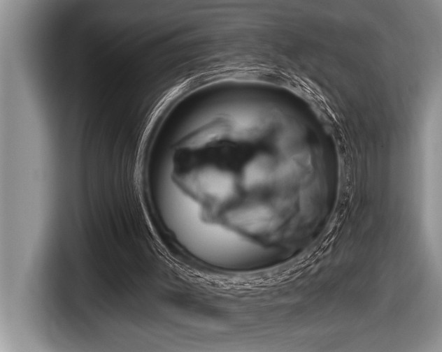 X0000116550003200912101424