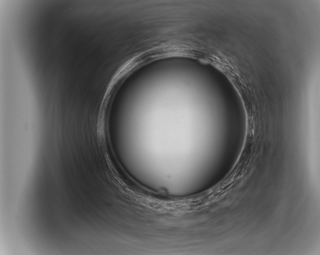 X0000116550004200912101424