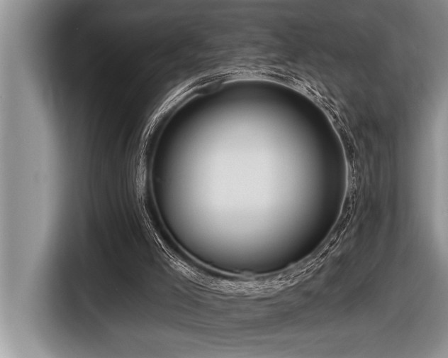 X0000116550005200912101424