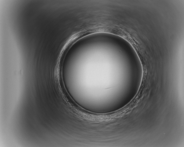 X0000116550006200912101424