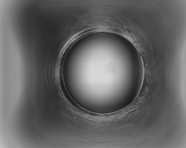 X0000116550007200912101424