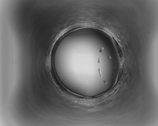 X0000116550008200912101424