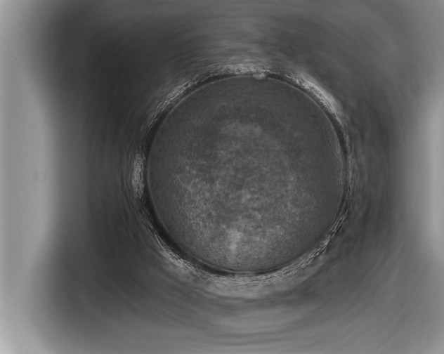 X0000116550009200912101423