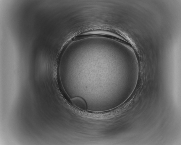 X0000116550010200912101423