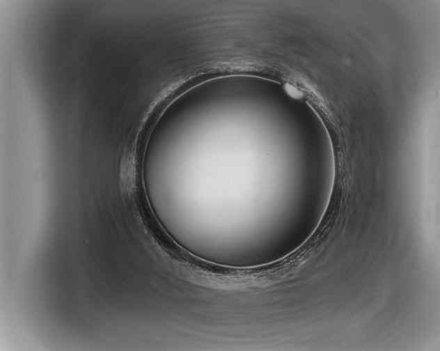 X0000116550012200912101423