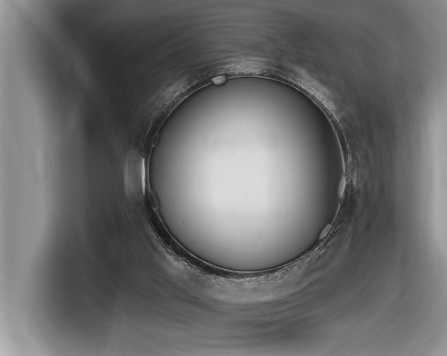 X0000116550013200912101423