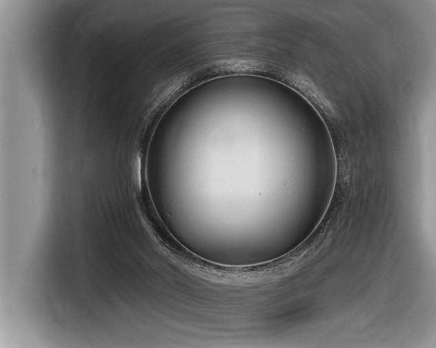 X0000116550014200912101423