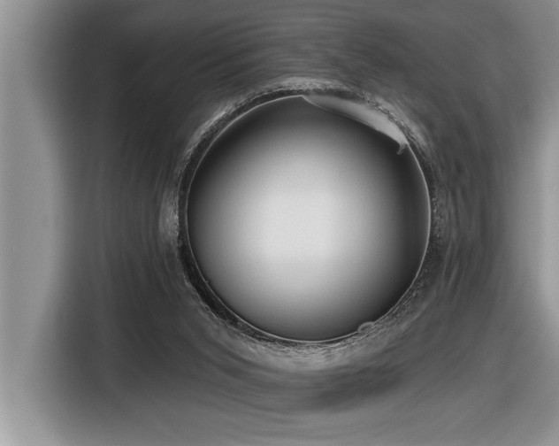 X0000116550015200912101423