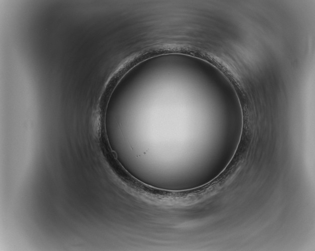 X0000116550016200912101423