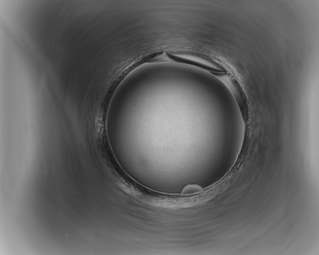 X0000116550017200912101423