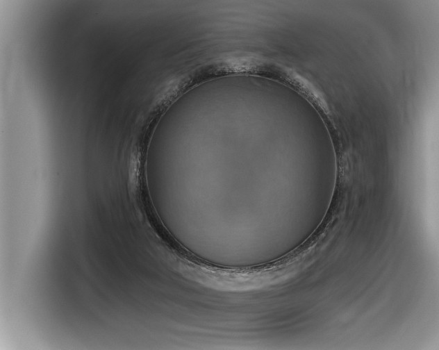 X0000116550018200912101423