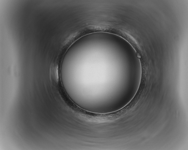 X0000116550020200912101423