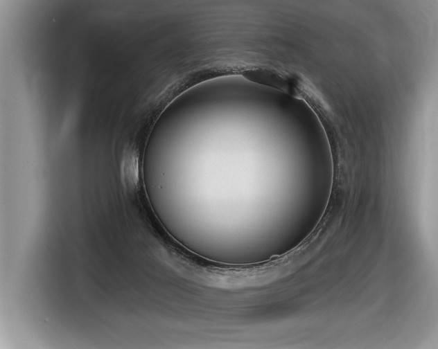 X0000116550021200912101423