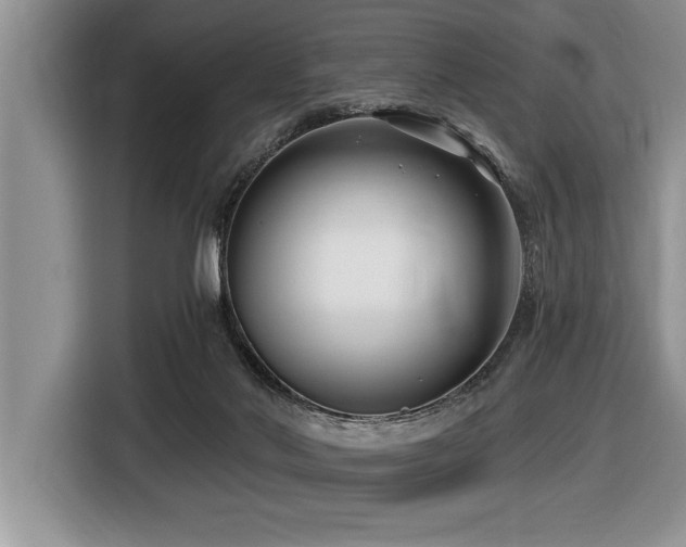 X0000116550022200912101423