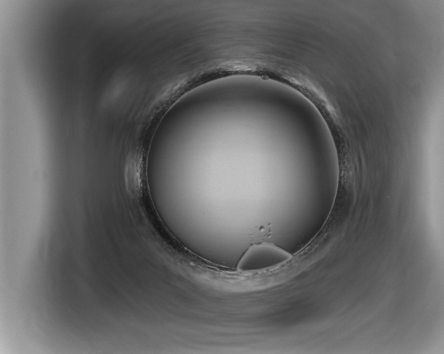 X0000116550023200912101423