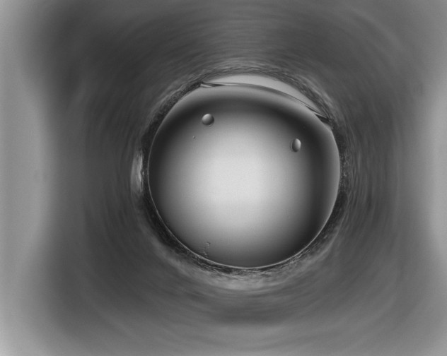 X0000116550024200912101423