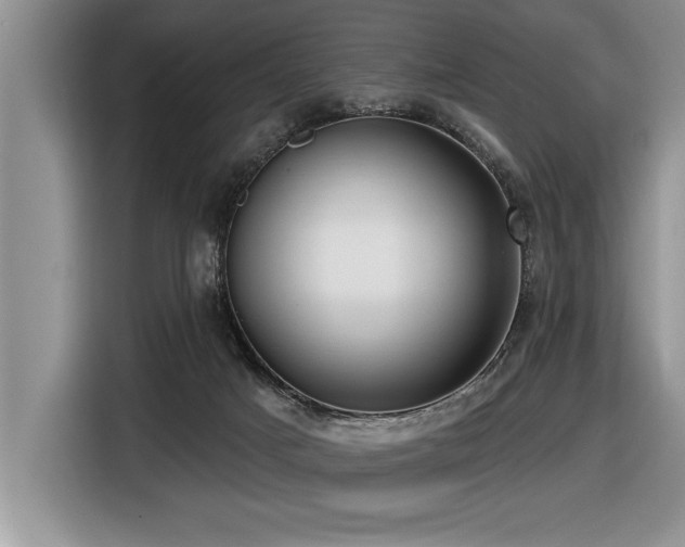 X0000116550025200912101423