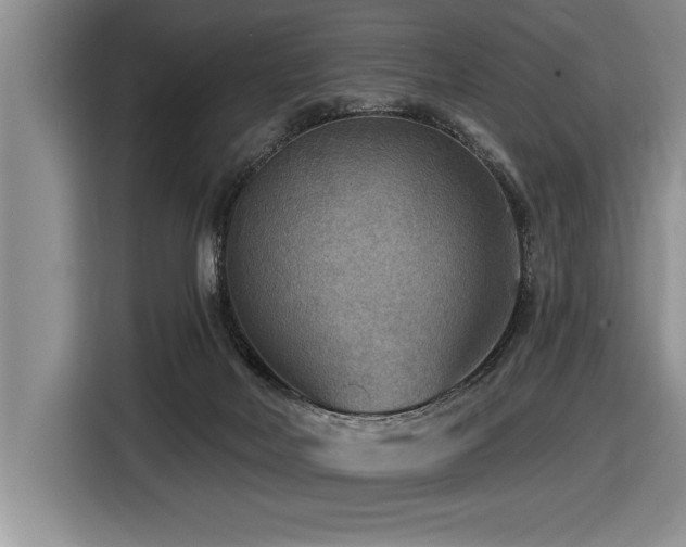 X0000116550026200912101423