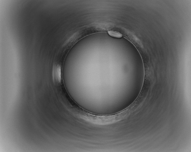 X0000116550027200912101423