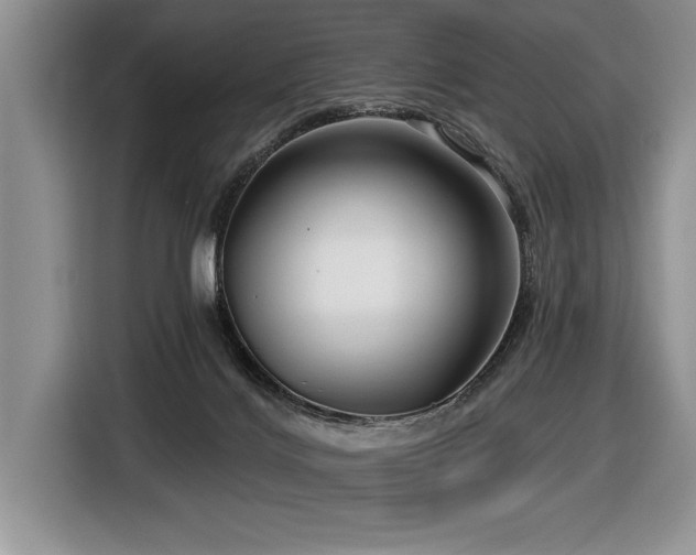 X0000116550028200912101423