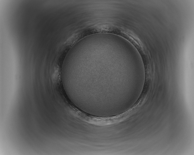 X0000116550029200912101423