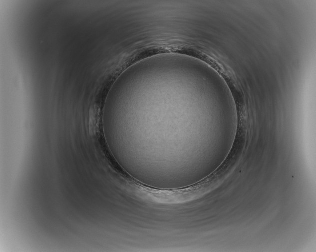 X0000116550030200912101423