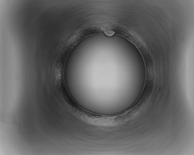 X0000116550032200912101423