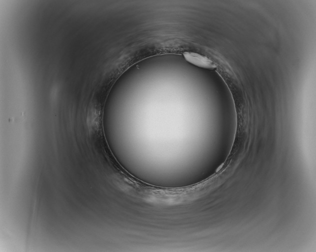 X0000116550033200912101423