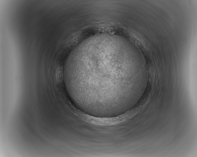 X0000116550034200912101423