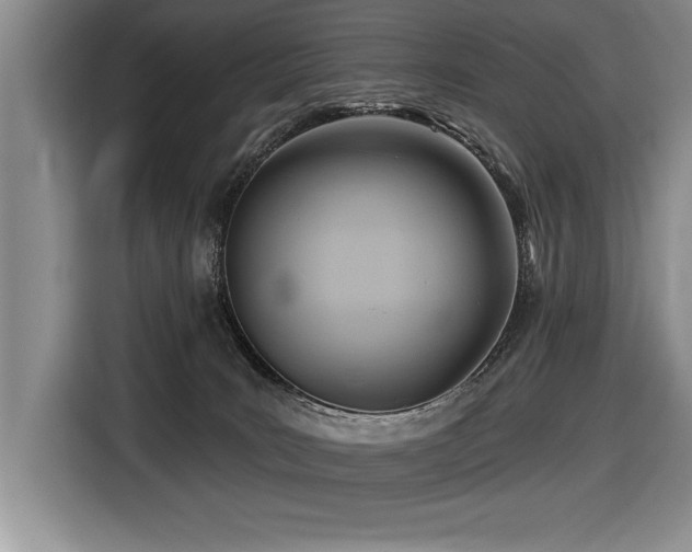 X0000116550035200912101423